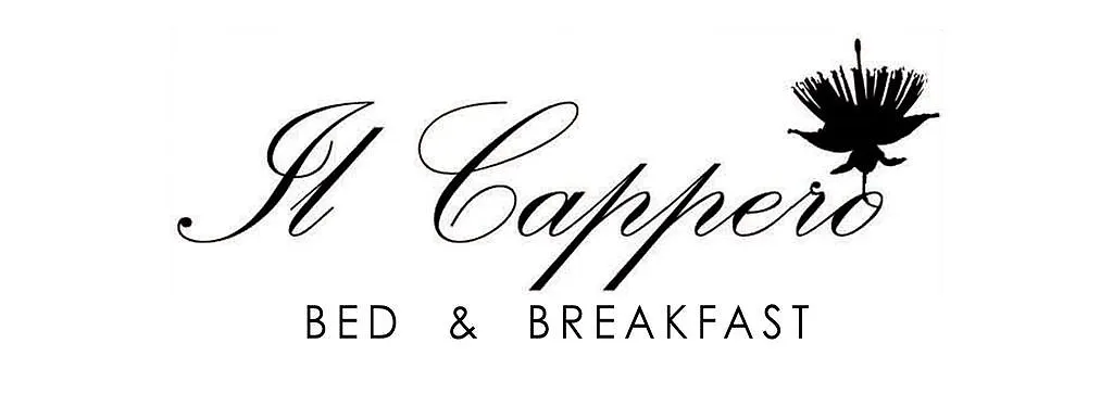 Bed&Breakfast Il Cappero-1